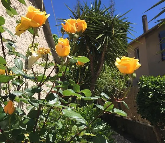 Le Castellamar فندق سانت ماكسيم