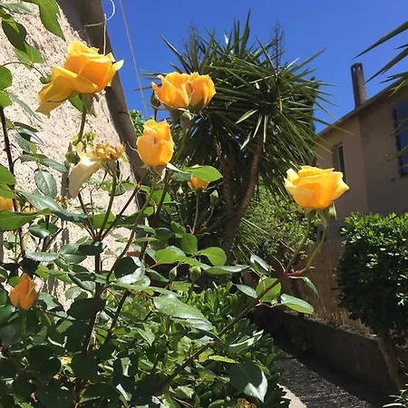 Le Castellamar Hotel Sainte-Maxime