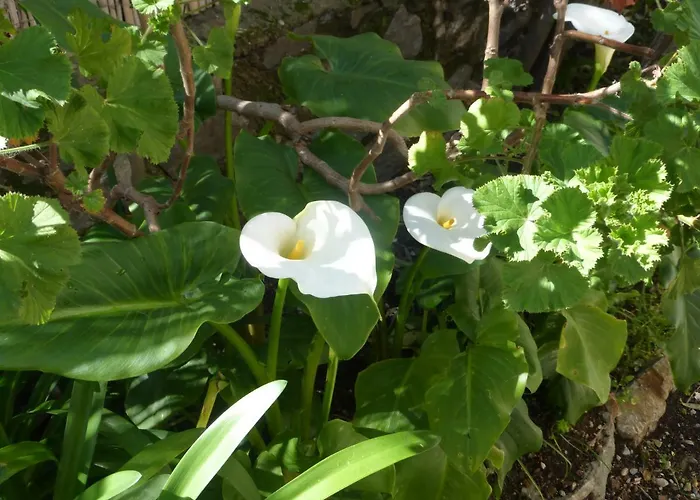 Le Castellamar Ξενοδοχείο 3*